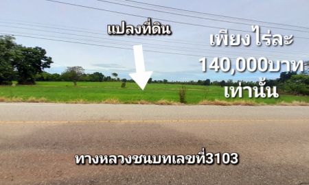 ขายที่ดิน - ที่ดินราคาดีกว่าใครในย่านนี้ติดถนนลาดยางไร่ละ140000