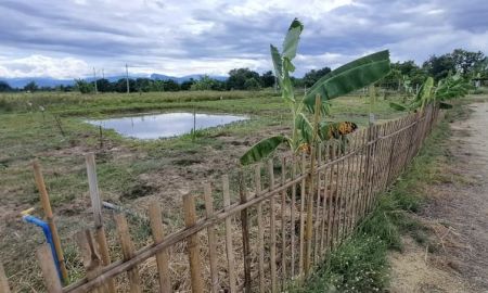 ขายที่ดิน - เจ้าของขายเอง สวนผสมบ่อปลาแปลงเล็ก ติดถนนสองด้าน วิวทุ่งนาวิวภูเขาเหมาะทำบ้านสวน สวนผสม