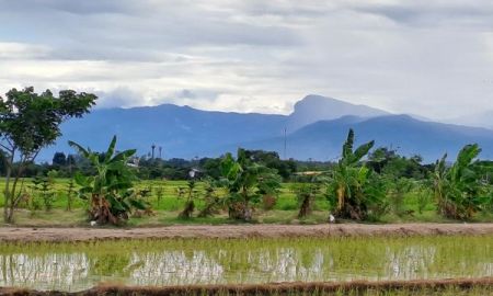 ขายที่ดิน - ขายสวนผสมบ่อปลา ไฟฟ้าน้ำประปาพร้อม วิวสวยเหมาะทำบ้านสวน บ้านพักตากอากาศ