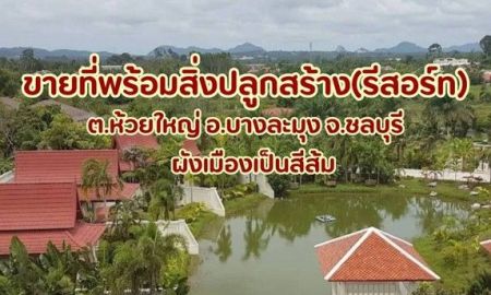 ขายที่ดิน - ขายที่ห้วยใหญ่..ที่ดินพัทยาเขาชีจรรย์..ที่เปล่าห้วยใหญ่