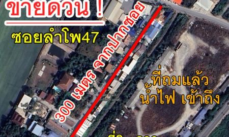 ขายที่ดิน - ขายด่วน, ที่ดินเปล่าถมแล้ว 200 ตารางวา ซอยลำโพ47(บางบัวทอง) 300เมตรจากปากซอย เหมาะสร้างที่อยู่อาศัย, บ้านสวน, โกดังขนาดเล็ก, ลงทุนเก็งกำไร