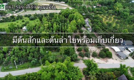 ขายที่ดิน - ขายที่ดินสวนเกษตร เนื้อที่ 4-0-24.3 ไร่ ต.ดอนเปา อ.แม่วาง จ.เชียงใหม่