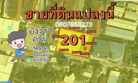 ขายที่ดิน - ขายที่ดิน201ตารางวา ทำเลดี ถมแล้ว แขวงสวนหลวง เขตสวนหลวง กรุงเทพมหานคร (ติดทรัพย์เจ้าของขายเอง)