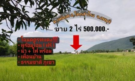 ขายที่ดิน - ขายที่ดินวิวเขา ตะเภาทอง ยกแปลง 2 ไร่ ครุฑแดง โคกสำโรง ลพบุรี