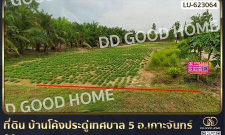 ขายที่ดิน - ที่ดิน บ้านโค้งประดู่เทศบาล 5 อ.เกาะจันทร์ 80 ตร.ว. ชลบุรี ใกล้แหล่งชุมชน