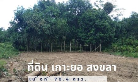 ขายที่ดิน - ราคาเด่นที่สุดแห่งปี ไม่รีบได้ไม่ได้แล้ว ที่ดิน เกาะยอ ใกล้ชุมชน เดินทางสะดวก