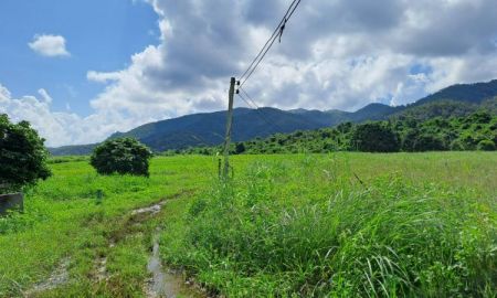 ขายที่ดิน - ขายสวนลำไยวิวสวยภูเขาล้อมรอบ ไฟฟ้าน้ำบาดาลพร้อม บ้านห้วยไฟ ต.นครเจดีย์ อ.ป่าซาง จ.ลำพูน