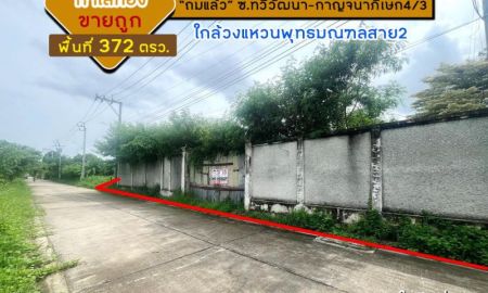 ขายที่ดิน - ขายที่ดิน บางแวก ซอยทวีวัฒนา-กาญจนาภิเษก4/3 ถมแล้ว พื้นที่ 372 ตรว. ที่สวย ทำเลทอง