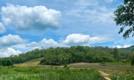 ขายที่ดิน - ที่ดินติดลำห้วยสาริกาสา ด้านหลังพิงเขา บรรยากาศดี มีเพื่อนบ้าน หนองหญ้าปล้อง เพชรบุรี