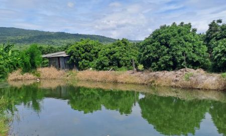 ขายที่ดิน - เจ้าของขายเอง ขายสวนลำไยบ่อปลาเชิงเขา ห่างทางหลวง 108 เพียง900เมตร วิวสวย อากาศดี เหมาะทำบ้านพักตากอากาศ บ้านสวน