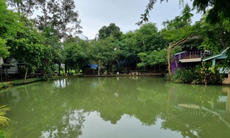 ขายที่ดิน - บ้านสวน ทำเลทอง ติดลำคลองธรรมชาติ ใกล้หาดบ้านอำเภอ บางเสร่ จอมเทียน