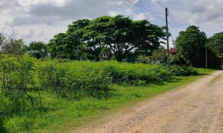 ขายที่ดิน - ขายที่ดินตำบลป่าบงสารภีติดบุญถาวรสารภีโฉนดพร้อมโอน