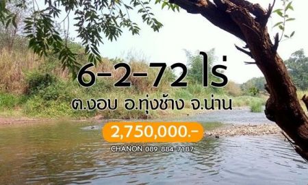 ขายที่ดิน - ขายที่ดินริมแม่น้ำน่าน สวนผลไม้ เงาะ อะโวคาโด้ บรรยากาศริมแม่น้ำน่าน