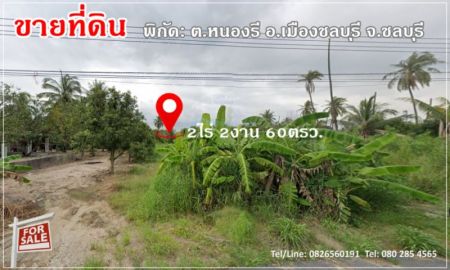 ขายที่ดิน - ขาย ที่ดิน แปลงสวย ติดคาเฟ่ 2 ไร่ 2 งาน 60 ตรว หนองรีชลบุรี