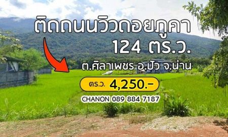 ขายที่ดิน - ที่ดินติดถนนใหญ่วิวดอยภูคา เหมาะสำหรับทำร้านคา คาเฟ่ ร้านอาหาร ฯลฯ