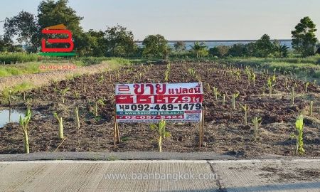 ขายที่ดิน - ที่ดิน แปลงสวย แยกปทุมสายใน เนื้อที่ 1-1-17.9 ไร่ ถนนทางหลวง 307 อ.เมือง จ.ปทุมธานี