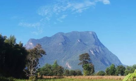 ขายที่ดิน - ขายที่ดินวิวดอยหลวงเชียงดาวห่างถนนหลัก 250เมตร