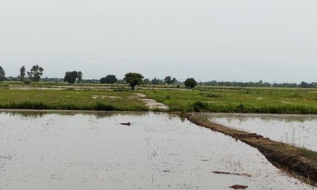 ขายที่ดิน - ขายที่ดินทำเลดีเจ้าของขายเอง ตำบลบางพลวง อำเภอ บ้านสร้าง จังหวัดปราจีนบุรี