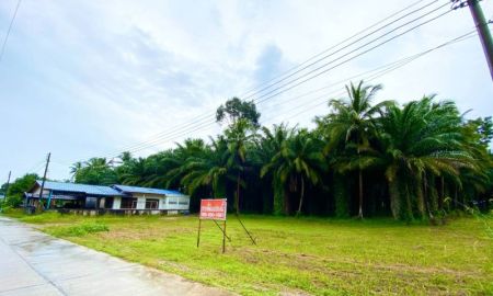 ขายที่ดิน - ขาย ที่ดิน ทำเลดี ติดถนน นาชะอัง วิลเลจ เมืองชุมพร