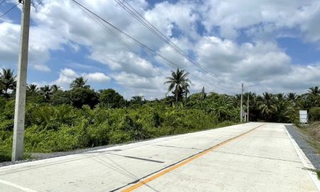 ขายที่ดิน - ขายที่ดิน ใกล้วัดดงเกตุ ซอยบ้านหงษ์ ถนนเพชรเกษม อำเภอสามพราน นครปฐม