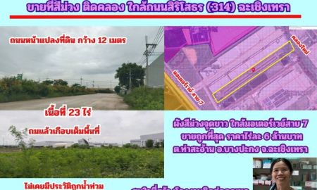 ขายที่ดิน - ขายที่สีม่วง 23 ไร่ ถมแล้วบางส่วน ด้านหลังติดคลอง ต.ท่าสะอ้าน อ.บางปะกง จ.ฉะเชิงเทรา