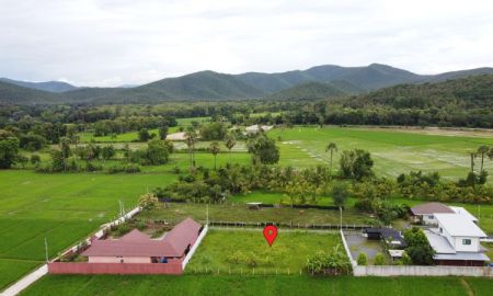 ขายที่ดิน - ขายที่ดิน 211 ตร.ว. (ใกล้ถนนตัดใหม่ 500 เมตร สาธารณูปโภคครบ)