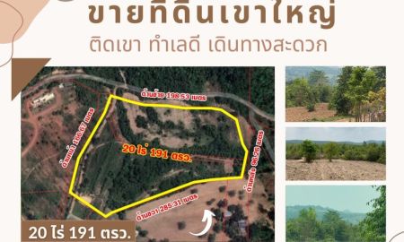 ขายที่ดิน - ขายที่ดินเขาใหญ่ บนเนินวิวเขา บรรยากาศดี