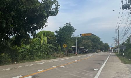 ขายที่ดิน - ขายที่ดิน 21 ไร่ ติดถ.จงถนอม วัดต้นเชือก ต.บ้านใหม่ บางใหญ่ นนทบุรี ใกล้ม.มหิดล ศาลายา