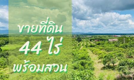 ขายที่ดิน - ขายที่ดินพร้อมสวนติดเชิงเขา ราคาถูก ทำเลทอง อำเภอสอยดาว จังหวัดจันทบุรี (เจ้าของขายเอง)