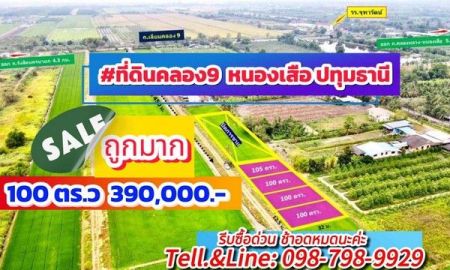 ขายที่ดิน - ที่ดินคลอง9 หนองเสือ ปทุมธานี 100 ตรว. 390,000 บาทเข้าซอยเพียง 450 ม.