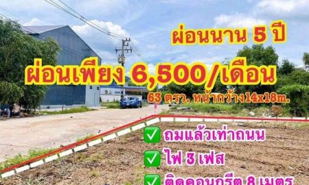 ขายที่ดิน - ที่ดินผ่อน หนองเสือ ขนาด 63 ตรว. น้ำและไฟฟ้ามีพร้อม ผ่อนได้นาน 5 ปี