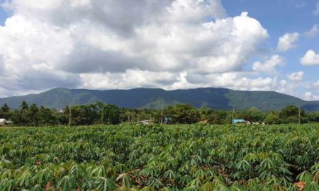 ขายที่ดิน - ขายที่ดินเขาใหญ่ เขาใหญ่ปากช่อง วิวภูเขามองเห็นทอสกาน่า บ้านคลองปูน