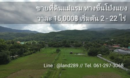 ขายที่ดิน - ขายที่ดินแม่ริม ที่ดินแบ่งขาย วาละ15,000 ใกล้แหล่งท่องเที่ยว เหมาะทำโรงแรม รีสอร์ท ที่จัดสรร