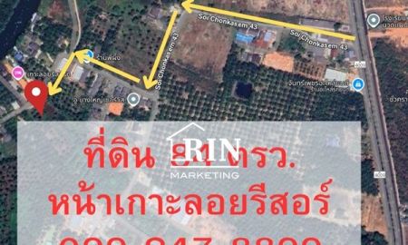 ขายที่ดิน - ขายที่ดิน 84 ตรว.หน้าร้านอาหารเกาะลอยรีสอร์ท ซอยชนเกษม43 ตำบลมะขามเตี้ย อำเภอเมืองสุราษฎร์ธานี