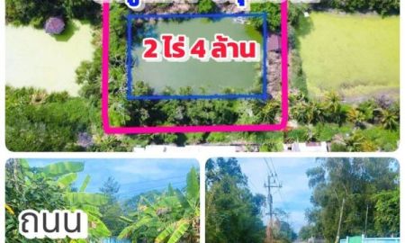 ขายที่ดิน - ที่ดินคลอง8 #ซอยไมตรี7 ลำลูกกา ปทุมธานี 2 ไร่ 4 ล้าน