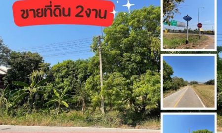 ขายที่ดิน - ขายที่ดิน ใกล้ รพ.วังทอง อ.วังทอง จ.พิษณุโลก