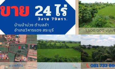 ขายที่ดิน - ขายที่ดิน 24ไร่ 3งาน 79ตรว.(เจ้าของ ไม่มีเวลา ดูแล)