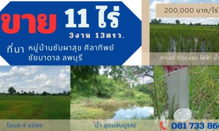 ขายที่ดิน - ขายที่นา 11ไร่ 3งาน 13ตารางวา (เจ้าของ ขอเกษียณ ไม่มีเวลา ดูแล)