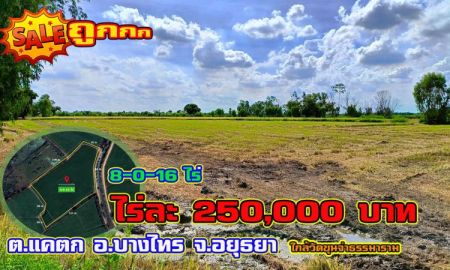 ขายที่ดิน - ขายที่ดินติดถนน เนื้อที่ 8-0-16 ไร่ อ.บางไทร จ.พระนครศรีอยุธยา ใกล้วัดขุนจ่าธรรมาราม