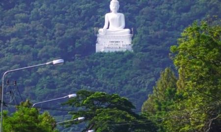 ขายที่ดิน - ขายที่ดิน ด่วน พื้นที่สวย บรรยากาศดี ติดภูเขา ติดถนนเส้นหลัก