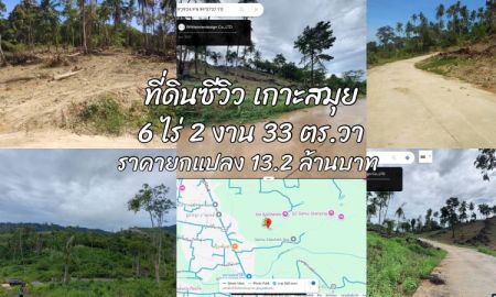 ขายที่ดิน - ขายที่ดินซีวิว เกาะสมุย 6 ไร่ 2 งาน 33 ตร.วา