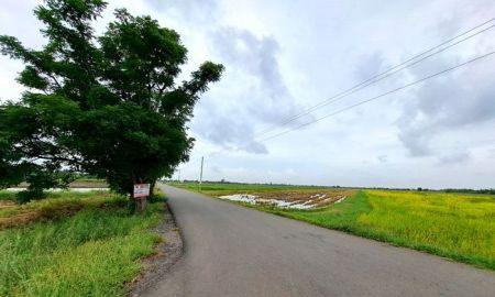 ขายที่ดิน - ขายที่ดิน บึงเทพยา ถนนสุวินทวงศ์ ตําบลบางน้ําเปรี้ยว อําเภอบางน้ําเปรี้ยว ฉะเชิงเทรา