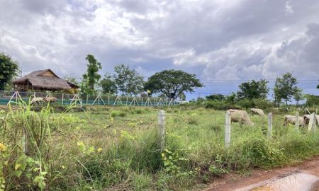 ขายที่ดิน - ลงทุนในที่ดิน ทำเลทองที่ใกล้ วัดพระธาตุลำปางหลวง เพียง 1.1 กม