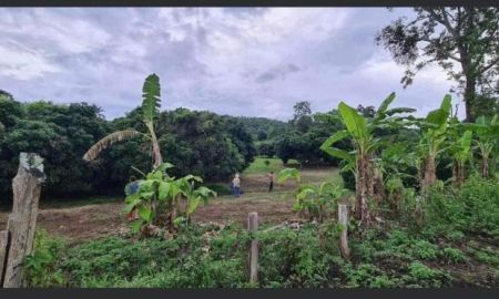 ขายที่ดิน - ขายที่สวนบ้านสบเปิงแม่แตงติดอ่างเก็บน้ำโฉนดพร้อมโอนี