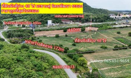 ขายที่ดิน - ขายที่ดินผังสีม่วง 48 ไร่ ราคาถูกที่สุดในระยอง ใกล้ถนน8 เลนสาย36 เพียง 100m มะขามคู่ นิคมพัฒนา ระยอง