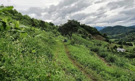 ขายที่ดิน - ขายที่บนดอยสะเมิงสะเมิงเหนือวิวสวยเนินสูงราคาถูก