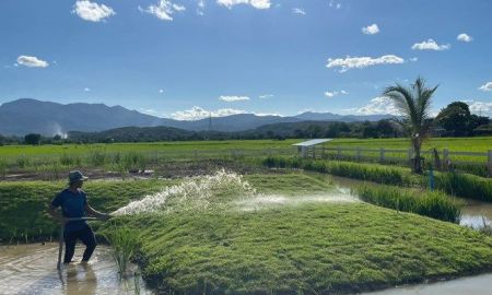 ขายที่ดิน - ที่ดินแม่ริมเชียงใหม่ ใกล้มหาวิทยาลัยแม่โจ้ กาดฝรั่งแม่ริม โรงเรียนนานาชาติเปรม จากสนามบิน 30 กม.