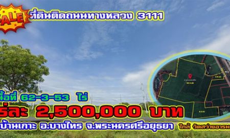 ขายที่ดิน - ขายที่ดินติดถนนทางหลวง 3111 (ปทุมธานี - เสนา) อ.บางไทร จ.พระนครศรีอยุธยา เนื้อที่ 62-3-53 ไร่ ๆ ละ 2.5 ล้านบาท