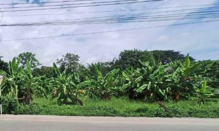 ขายที่ดิน - ขายที่ดินตำบลสันทรายสันพระเนตรติดถนนใกล้เมืองพร้อมโอน