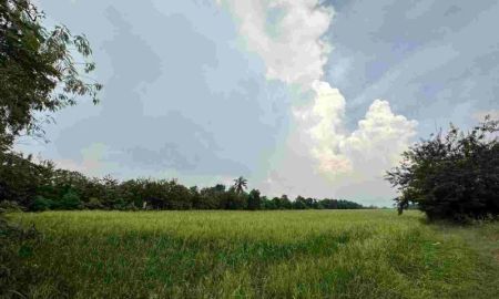 ขายที่ดิน - ขายที่ดินติดถนนคลอง12 ทำเลสวย ที่ดินสีชมพู จังหวัดปทุมธานี (เจ้าของขายเอง)